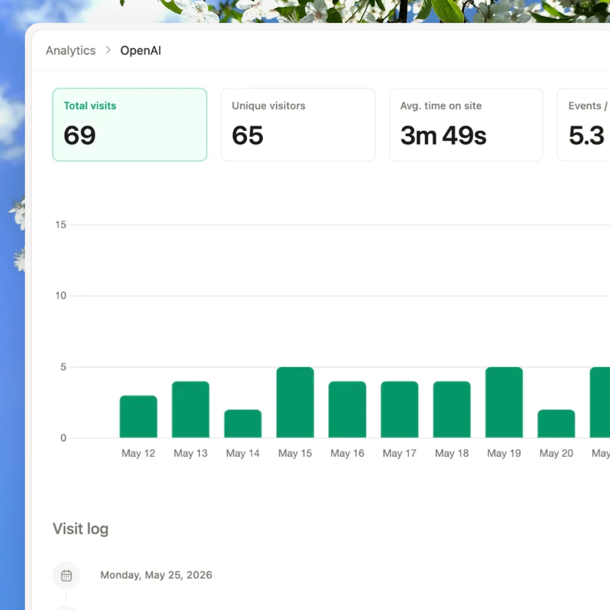 Cluoa analytics dashboard showing buyer visits and engagement